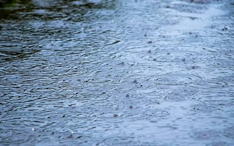 Close view of rain falling on the surface of a stormwater pond, rings spreading across the water
